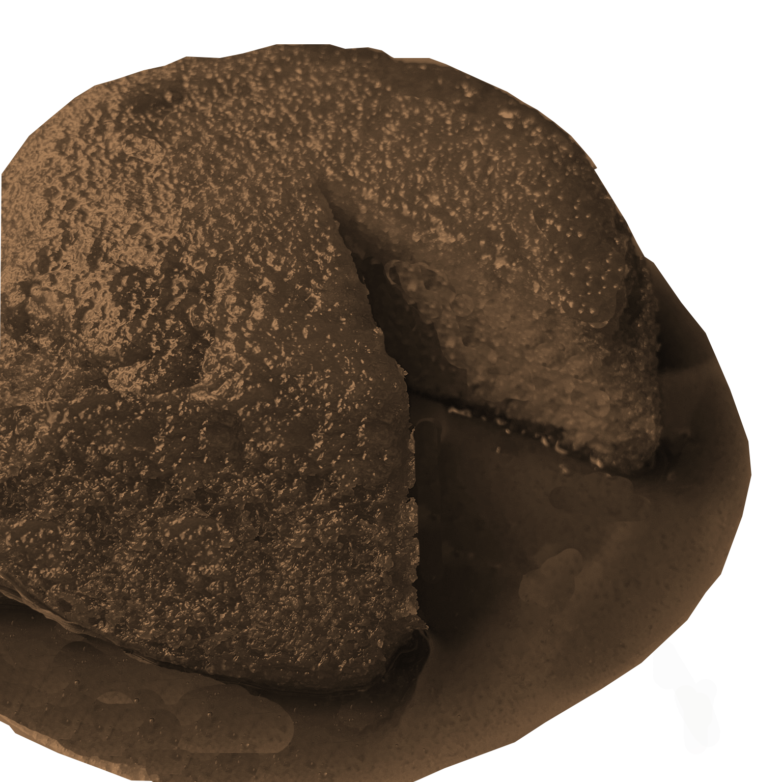 Chocolate Sponge
